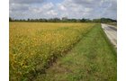 Property photo 1 - 75+/- Acres in 9 Tracts